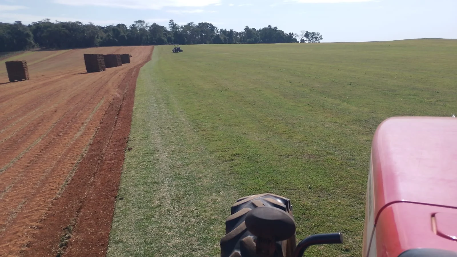 Área de cultivo de grama, com caminho de terra e trator na lateral