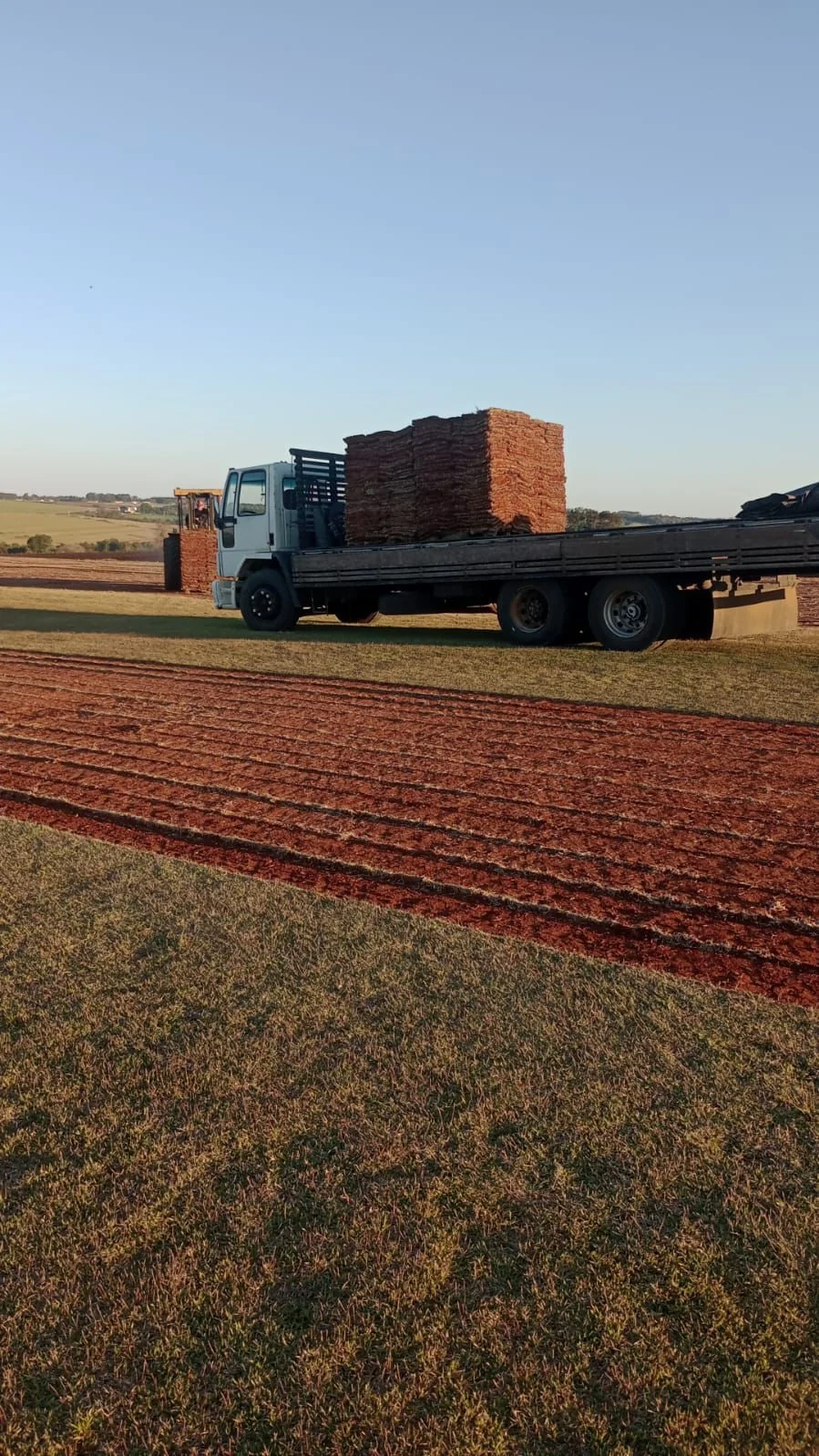 Caminhão carregado com placas na área de produção