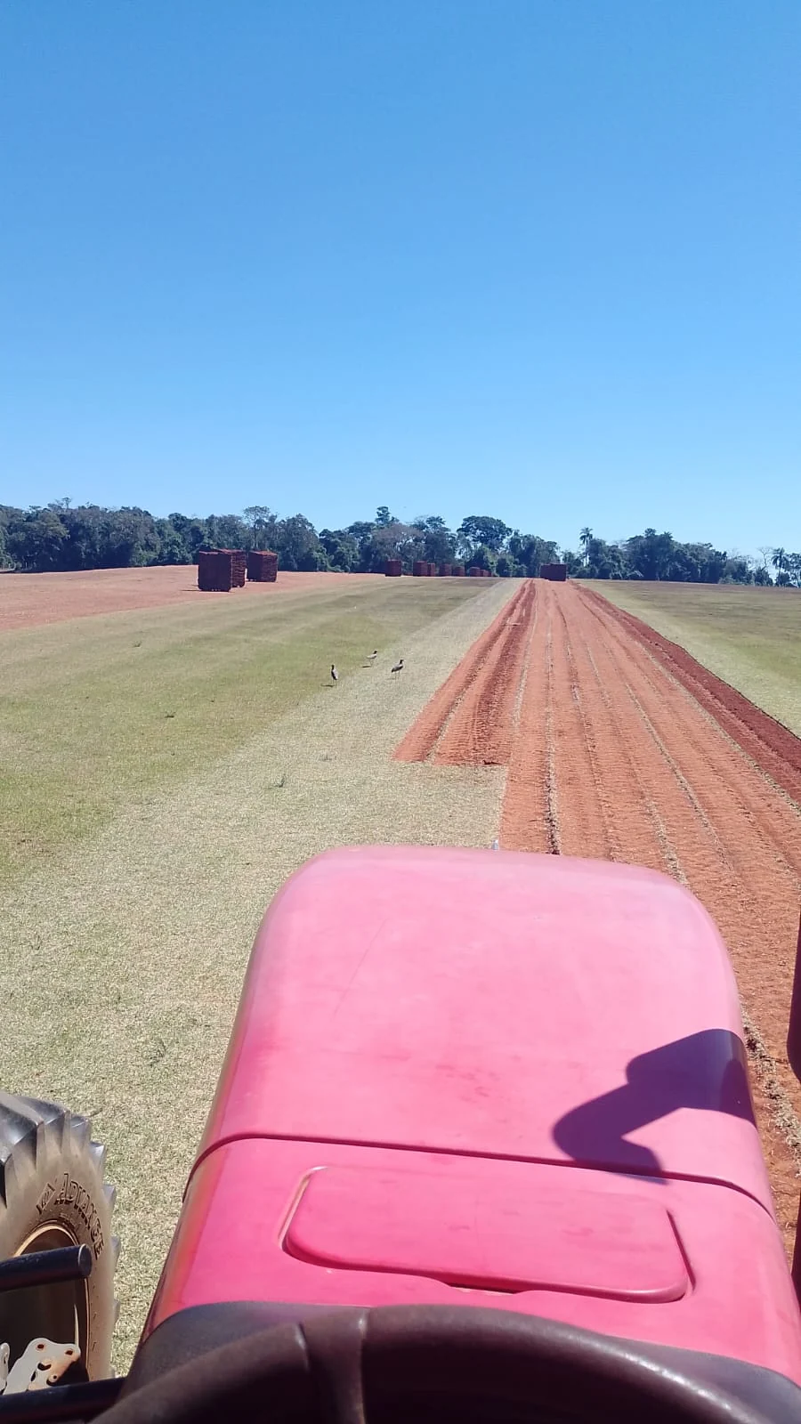 O caminho pelo campo